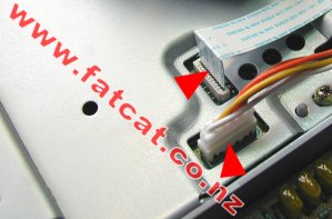 Close-up of the Power and Controller port cables